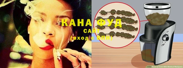 амф Гусев