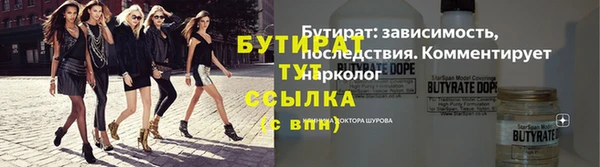 амф Гусев