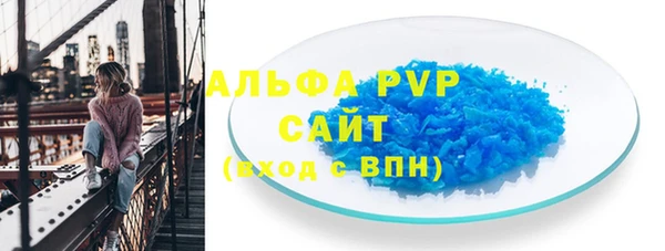 амф Гусев