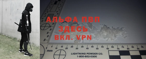 мяу мяу мука Гусиноозёрск