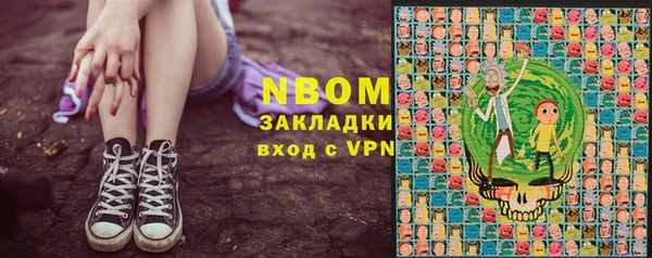 амф Гусев