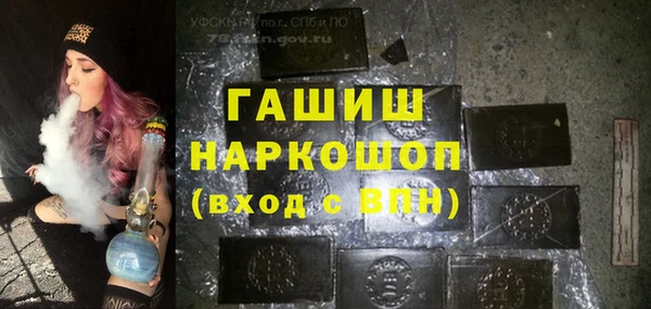 амф Гусев