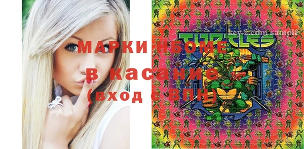 2c-b Горно-Алтайск