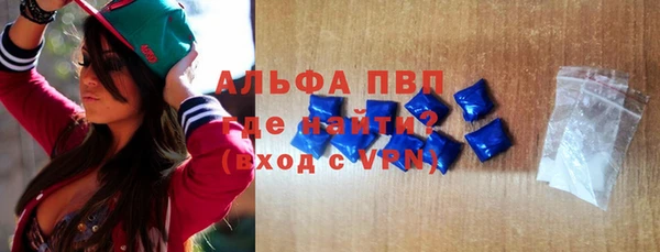 амф Гусев