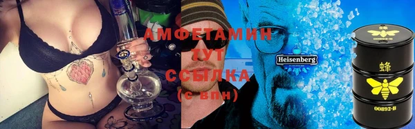 амф Гусев
