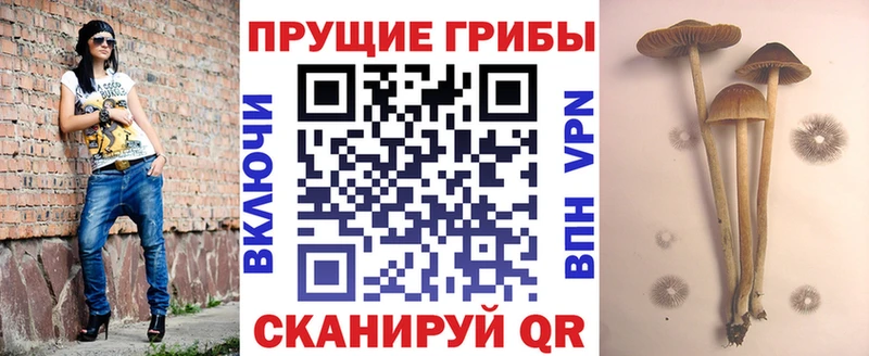 Псилоцибиновые грибы мухоморы  Купить где  Скопин 