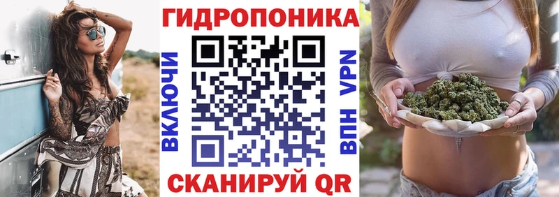 Купить где  Скопин  Канабис Bruce Banner 